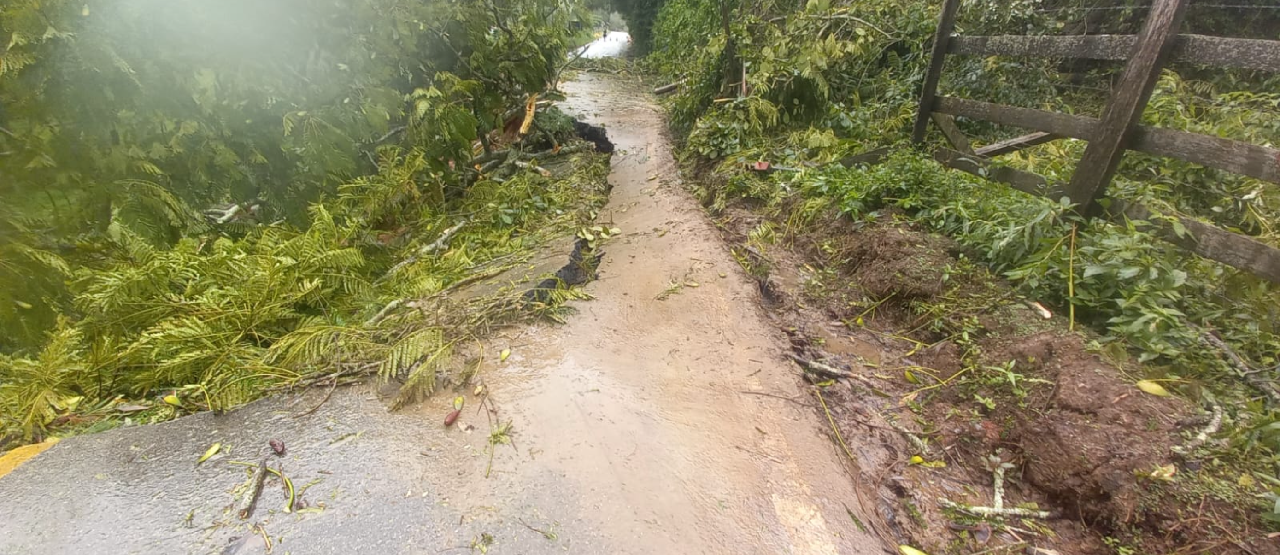 Trecho da BR-459 em Delfim Moreira-MG está interditado; saiba a previsão
