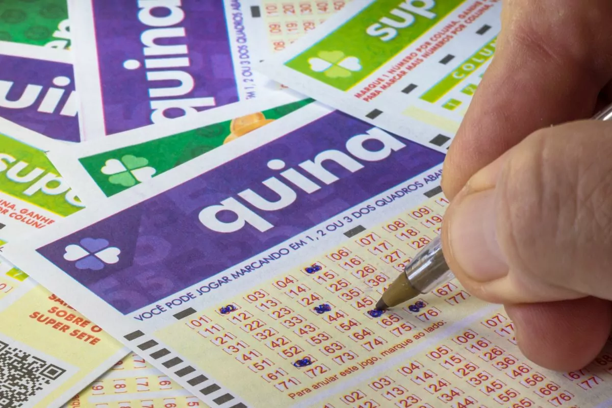 Quina 6644: veja resultado de hoje, quarta-feira
(29/01)