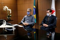 Zema declara utilidade pública para empreendimento em área da Mata Atlântica no Vale do Jequitinhonha imagem da publicação