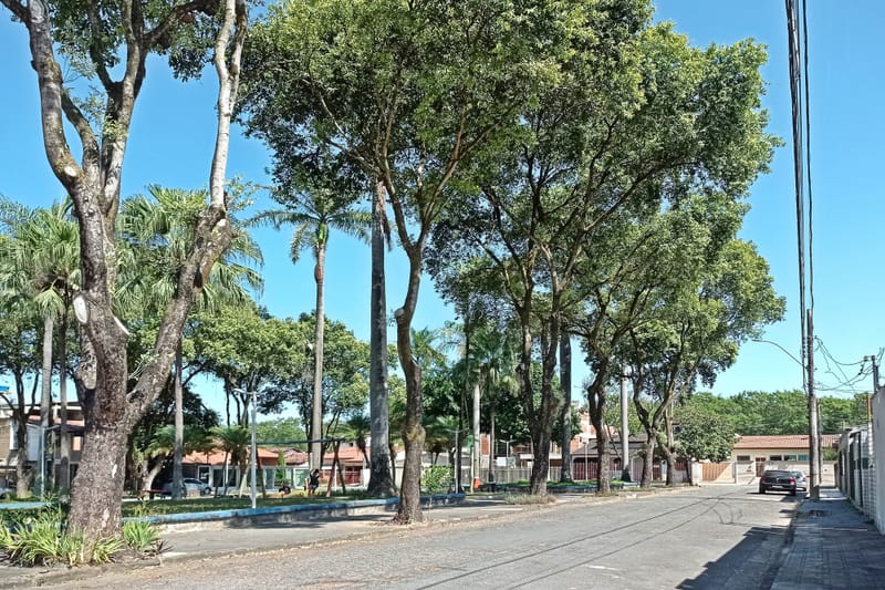 Ipatinga libera R$ 2,45 milhões para obras urbanas e videomonitoramento imagem da publicação